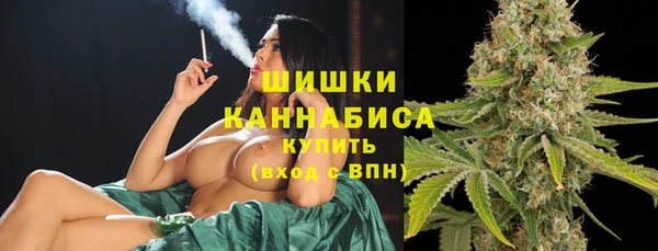 ГАЛЛЮЦИНОГЕННЫЕ ГРИБЫ Белокуриха