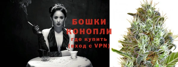 ГАЛЛЮЦИНОГЕННЫЕ ГРИБЫ Белокуриха