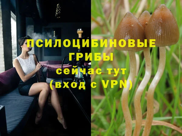 прущие крисы Беломорск
