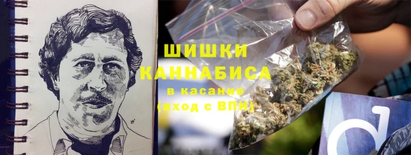 ГАЛЛЮЦИНОГЕННЫЕ ГРИБЫ Белокуриха