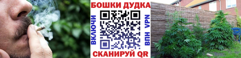 Марихуана White Widow  наркошоп  Минеральные Воды 